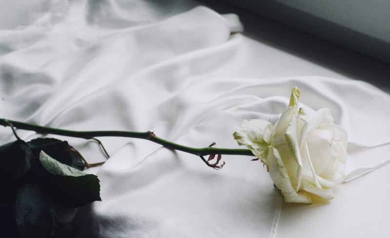 Elegant Rose Centerpiece